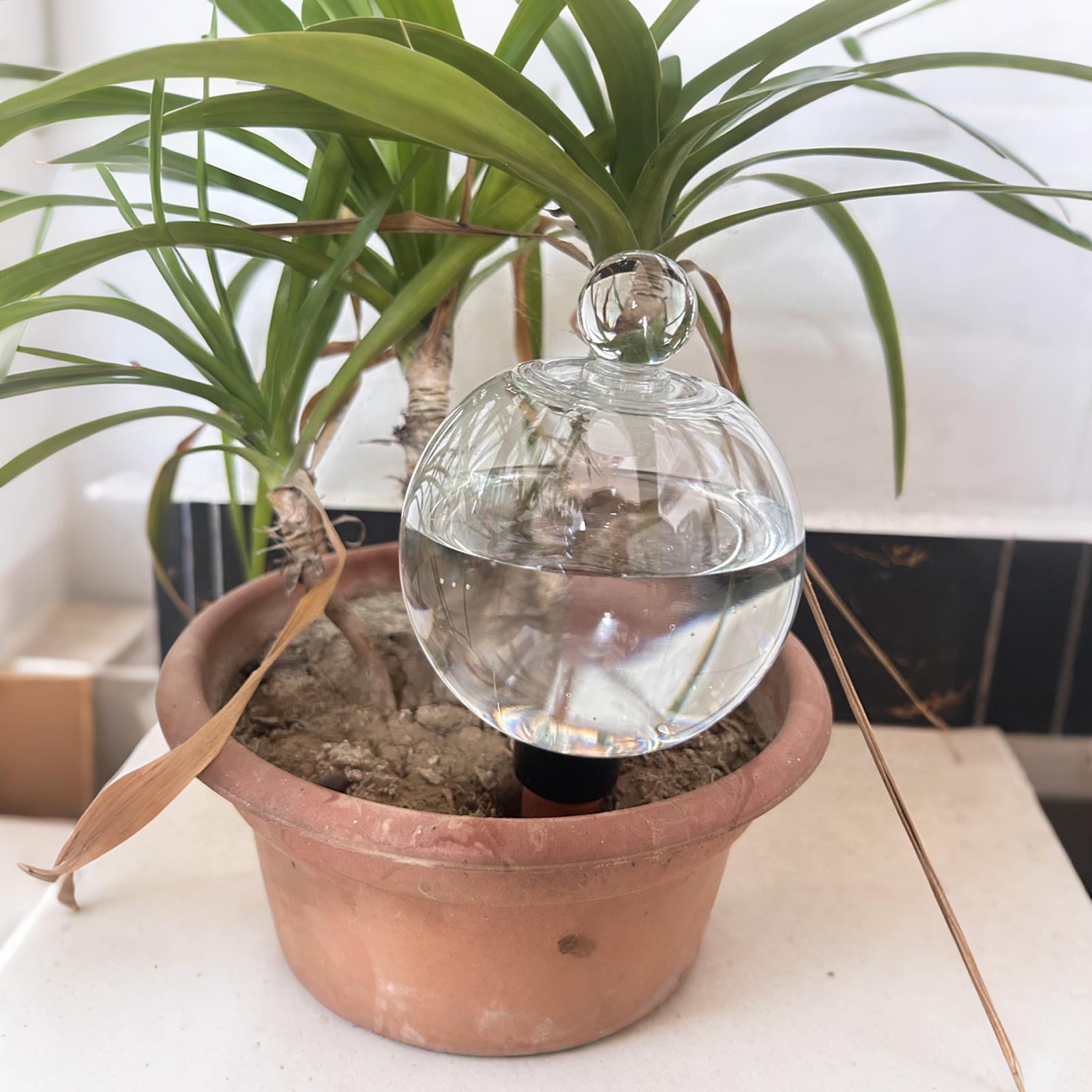Plant Watering Bulbs 4pcs 500m - огляд і ціна Automatic Plant Waterer
