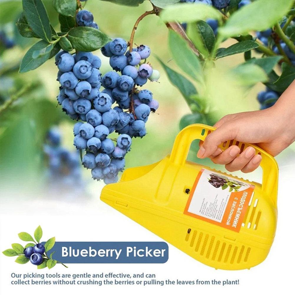 Easy-Grip Blueberry Picker Too - огляд і ціна Gardening Tools Must Haves