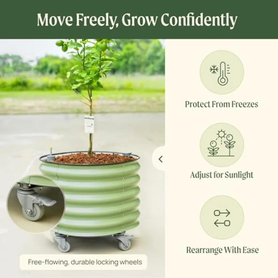 Rolling Citrus Tree Planter Ge - огляд і ціна Self-Watering Planter